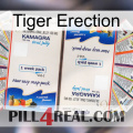 Tiger Erection kamagra1